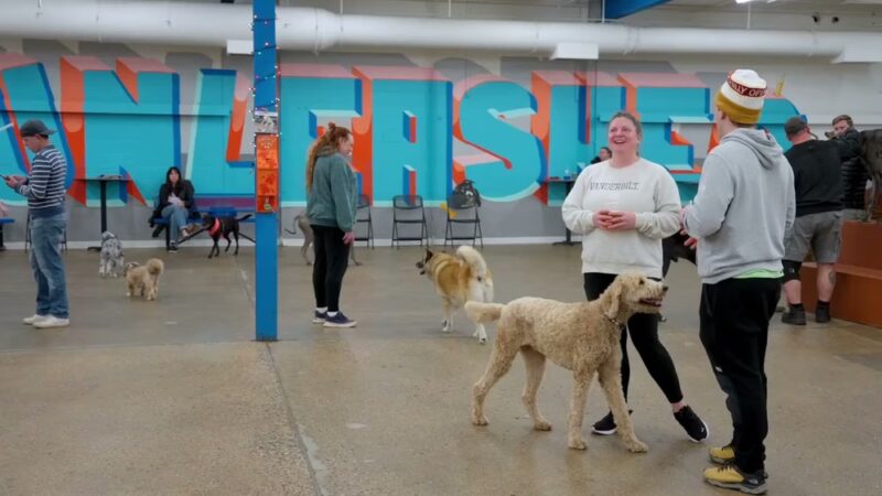 Unleashed Hounds and Hops - Minneapolis, MN