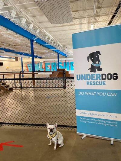 Unleashed Hounds and Hops - Minneapolis, MN