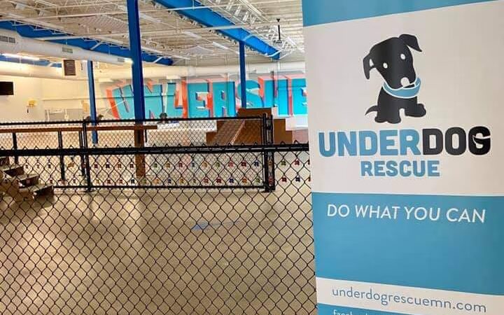 Unleashed Hounds and Hops - Minneapolis, MN