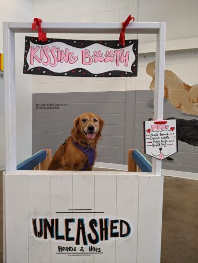 Unleashed Hounds and Hops - Minneapolis, MN