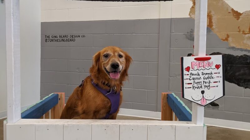 Unleashed Hounds and Hops - Minneapolis, MN