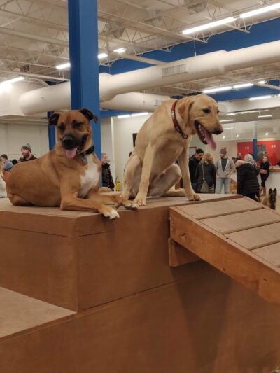 Unleashed Hounds and Hops - Minneapolis, MN