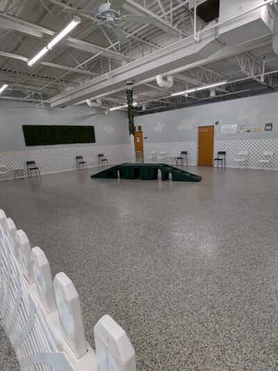 Indoor Zoomies indoor dog park - Minnetonka, MN