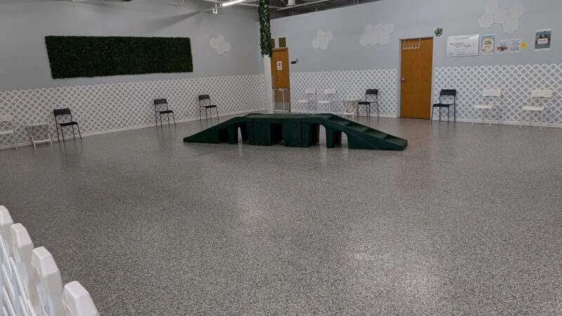 Indoor Zoomies indoor dog park - Minnetonka, MN