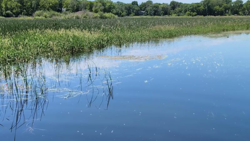 Jidana Park - Minnetonka, MN