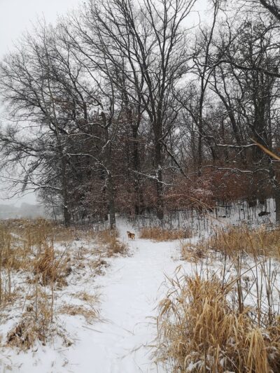 Jidana Park - Minnetonka, MN