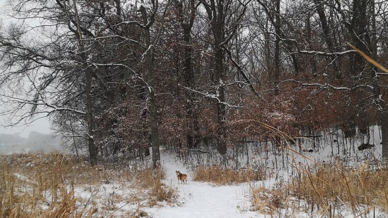 Jidana Park - Minnetonka, MN