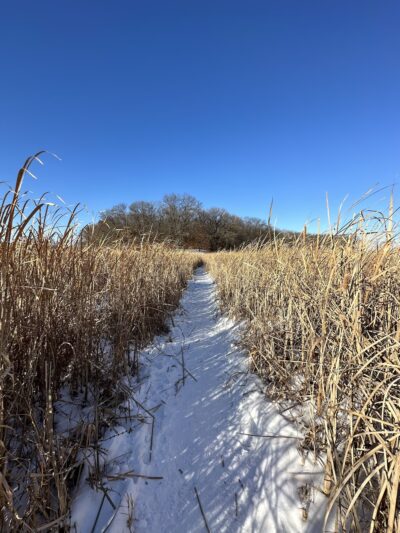 Jidana Park - Minnetonka, MN