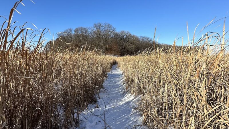 Jidana Park - Minnetonka, MN