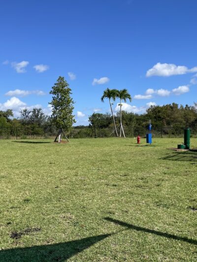 Miramar Paw Central Dog Park - Miramar, FL