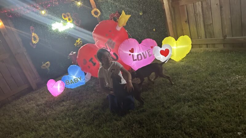 Sisters Private Pet Park & More - Mission, TX