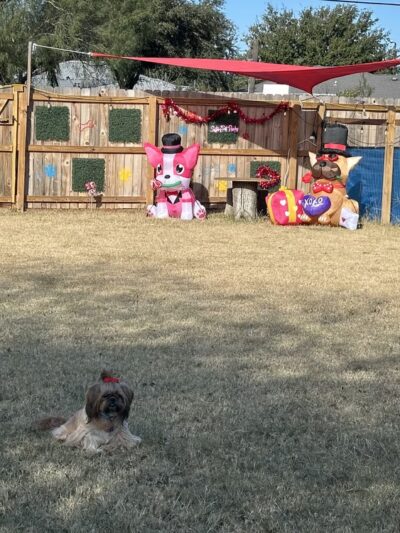 Sisters Private Pet Park & More - Mission, TX