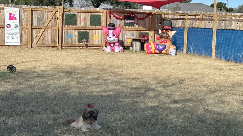 Sisters Private Pet Park & More - Mission, TX
