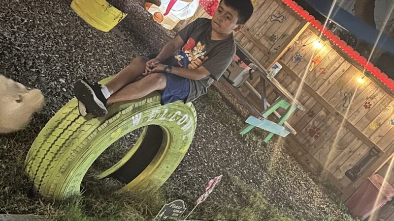 Sisters Private Pet Park & More - Mission, TX