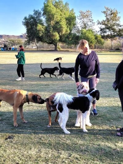 La Paws Dog Park - Mission Viejo, CA