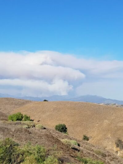 La Paws Dog Park - Mission Viejo, CA