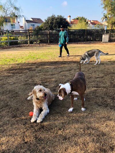 La Paws Dog Park - Mission Viejo, CA