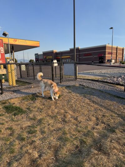 Dog Park at Love's Travel Stops - Missoula, MT
