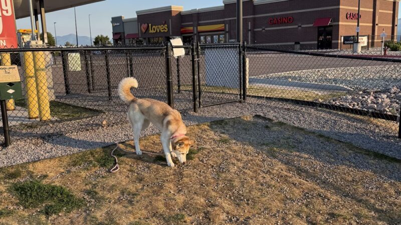 Dog Park at Love's Travel Stops - Missoula, MT