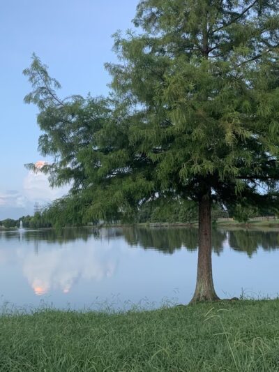 American Legion Park - Missouri City, TX
