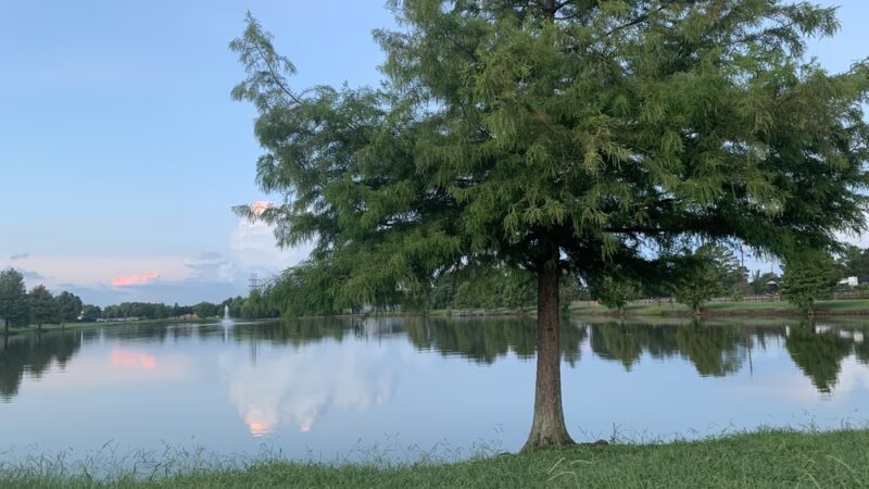 American Legion Park - Missouri City, TX