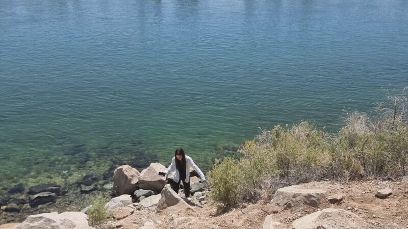 Mohave Valley Community Park - Mohave Valley, AZ