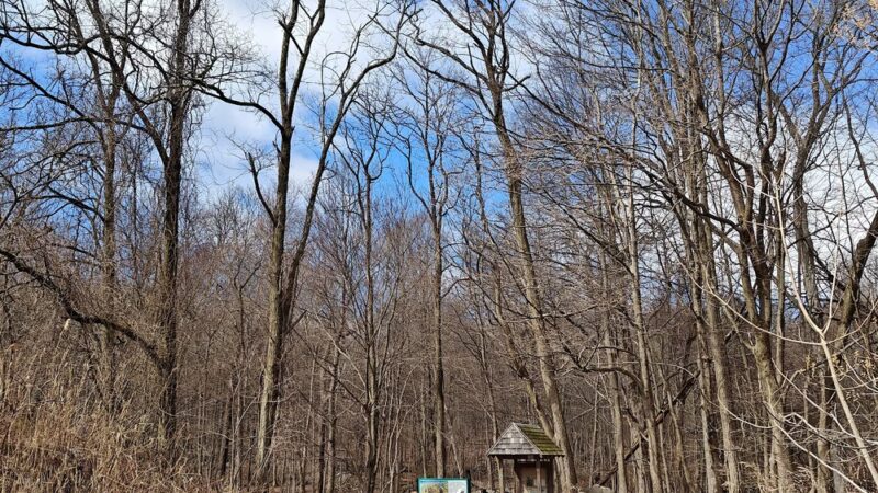 Sylvan Glen Eastern Trail Head - Mohegan Lake, NY