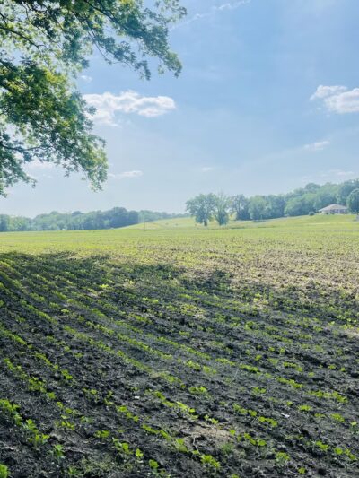 Katy Trail - Mokane Trailhead - Mokane, MO