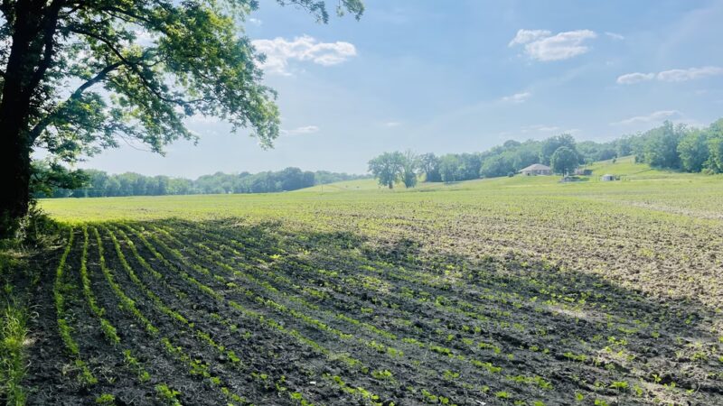 Katy Trail - Mokane Trailhead - Mokane, MO