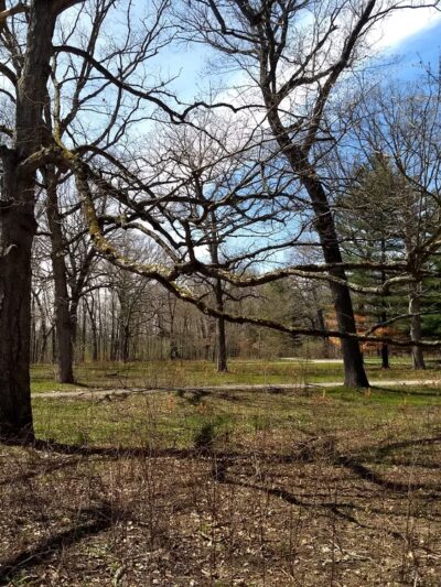 Pigeon River Fish & Wildlife Area - Mongo, IN