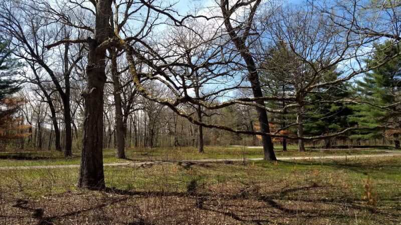 Pigeon River Fish & Wildlife Area - Mongo, IN