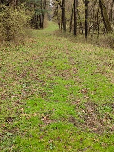 Pigeon River Fish & Wildlife Area - Mongo, IN