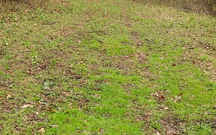 Pigeon River Fish & Wildlife Area - Mongo, IN