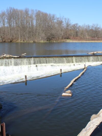 Pigeon River Fish & Wildlife Area - Mongo, IN