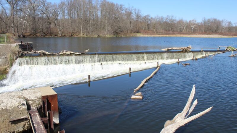 Pigeon River Fish & Wildlife Area - Mongo, IN