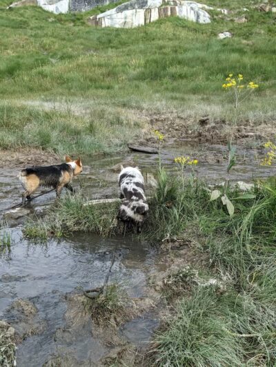 Mono Hot Springs - Mono Hot Springs, CA