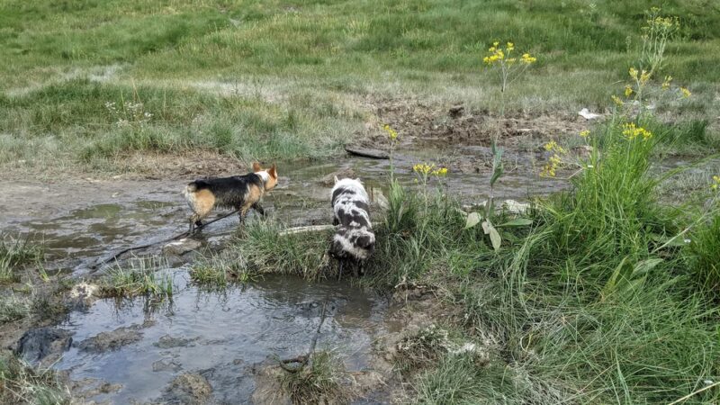 Mono Hot Springs - Mono Hot Springs, CA