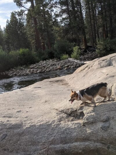 Mono Hot Springs - Mono Hot Springs, CA