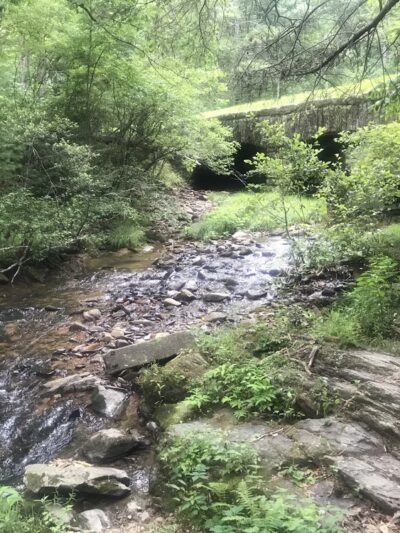 Otter Creek Recreation Area - Monroe, VA