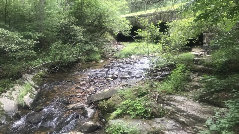 Otter Creek Recreation Area - Monroe, VA