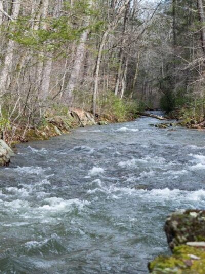 Otter Creek Recreation Area - Monroe, VA
