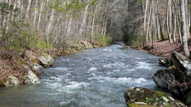 Otter Creek Recreation Area - Monroe, VA