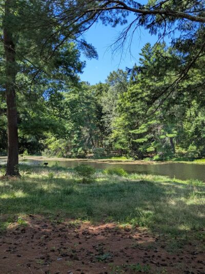 Dean Pond Day Use Area - Monson, MA