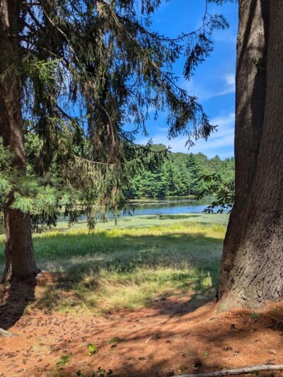 Dean Pond Day Use Area - Monson, MA