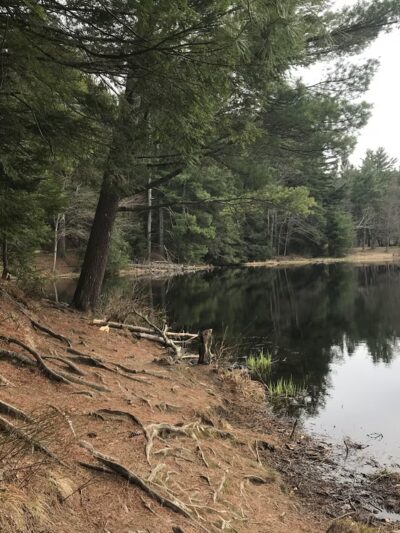 Dean Pond Day Use Area - Monson, MA
