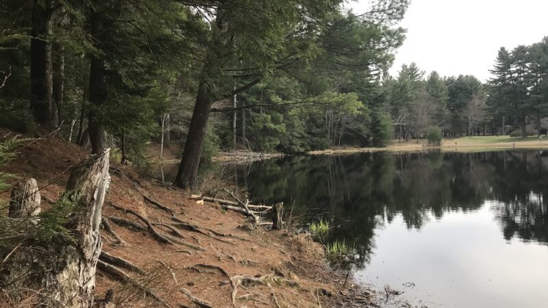 Dean Pond Day Use Area - Monson, MA