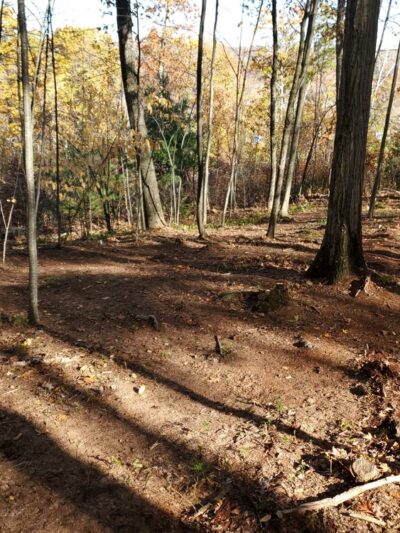 Flynt Park - Monson, MA