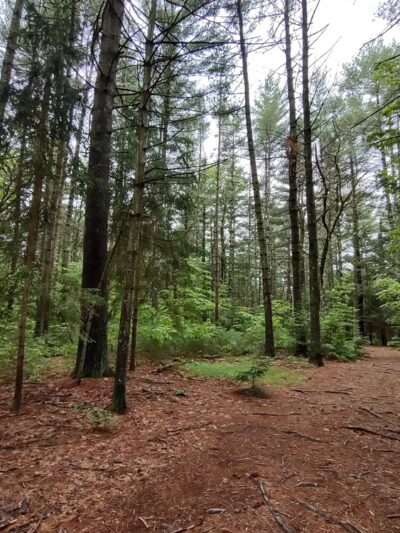 Peaked Mountain Reservation - Monson, MA