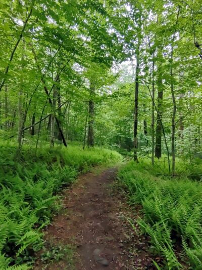 Peaked Mountain Reservation - Monson, MA