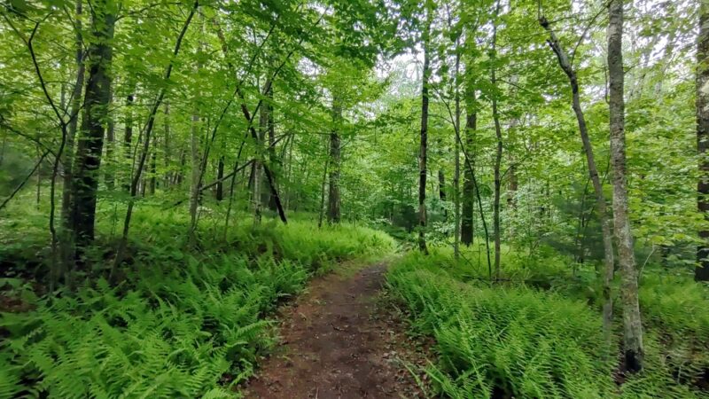 Peaked Mountain Reservation - Monson, MA